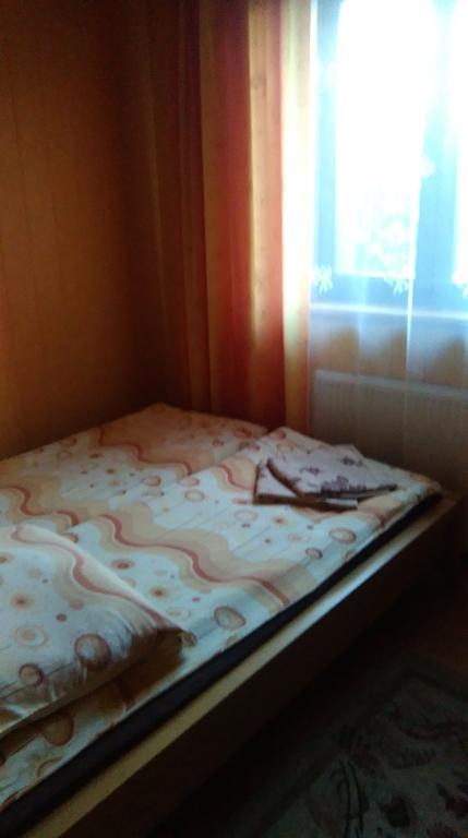 Przytulny Kat Homestay Bialowieza